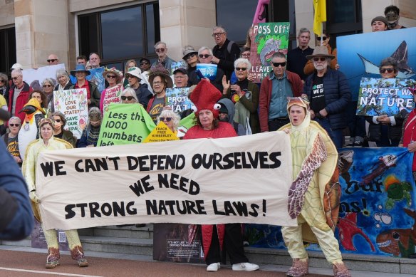 People rallied at WA’s Parliament House on Tuesday against the Browse development and against any move to weaken the EPA.