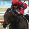 Schwarz dashes clear to take out the Hawkesbury Guineas in May.