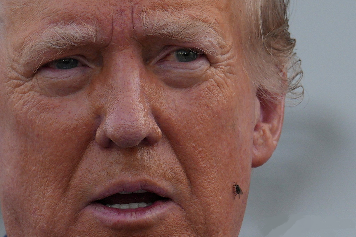 r/pics - A fly sits on the face of Donald J. Trump at his Press Conference in Bedminster, New Jerse (8-15-24)