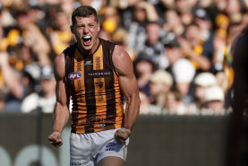 Ruckman Lloyd Meek celebrates Hawthorn’s late-season rise into the final eight