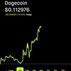 r/dogecoin - I finally hit the magic number... 420,069. I think I'll stop there for now. 🤣