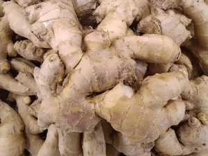 Image showing Zingiber officinale, Ginger, widely used as a spice and a folk medicine, October 26, 2018.