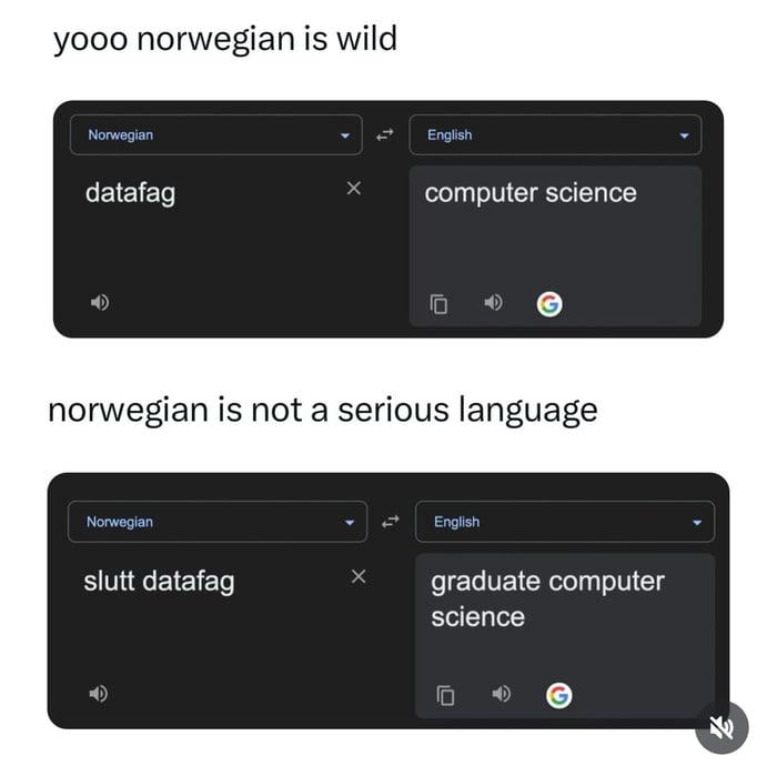 r/ProgrammerHumor - theNorweiganLanguageIsLit