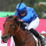 Zardozi  charges away to win the har Lap Stakes at Rosehill in the autumn.