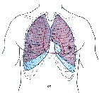 r/todayilearned - TIL About "commotio cordis" a heart failure that occurs if you get hit in the chest at just the right time, causing a disturbance in the electrical impulses. It directly affects your heart rhythm and in most cases kill with a 3 minute window to treat.