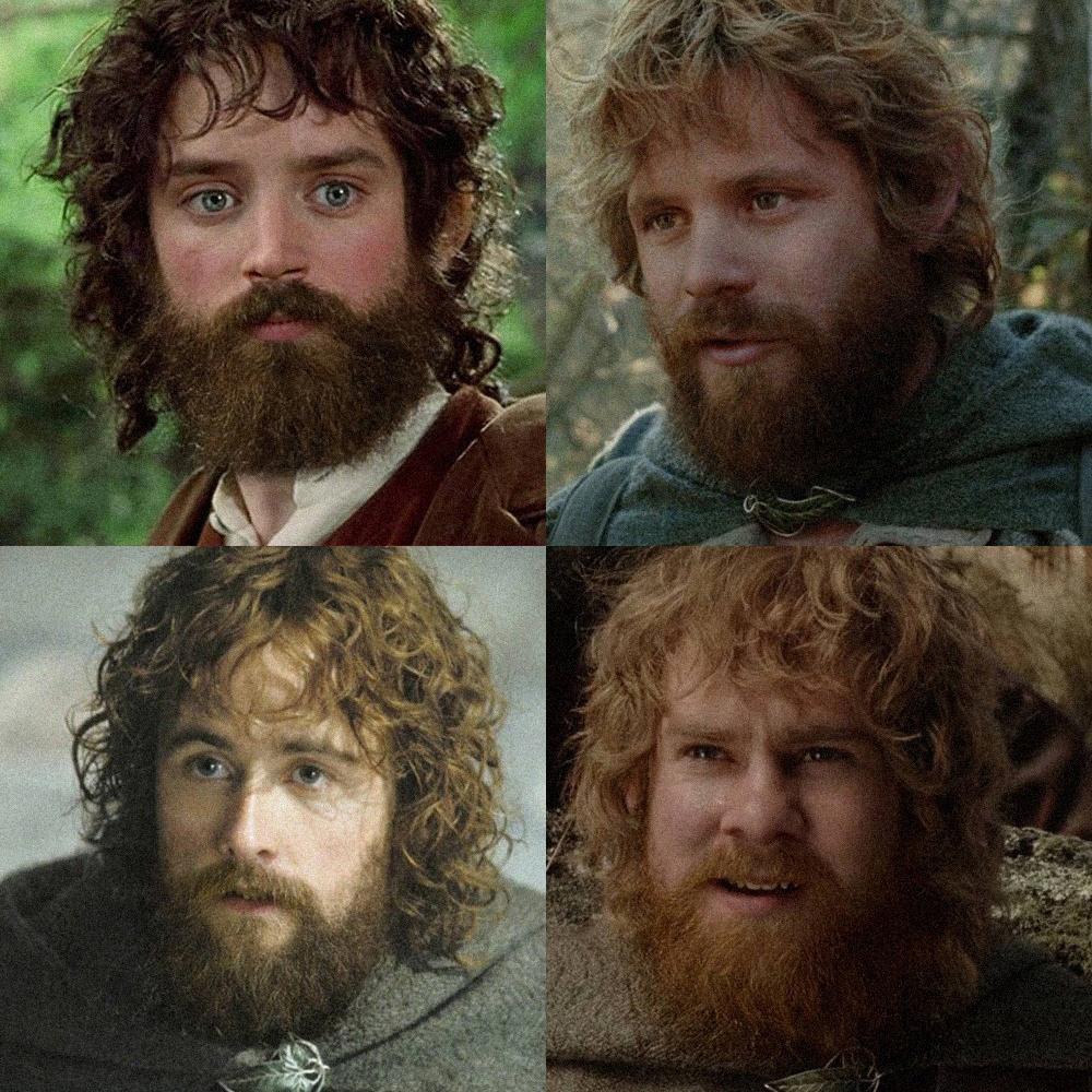 r/lotrmemes - Hobbits with beards