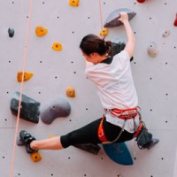 Browse Beginner Climber