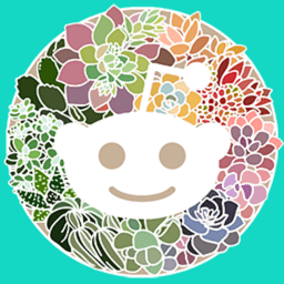 r/succulents icon