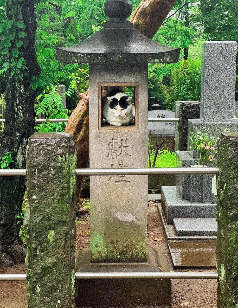 r/pics - Sheltering from the typhoon in Tokyo