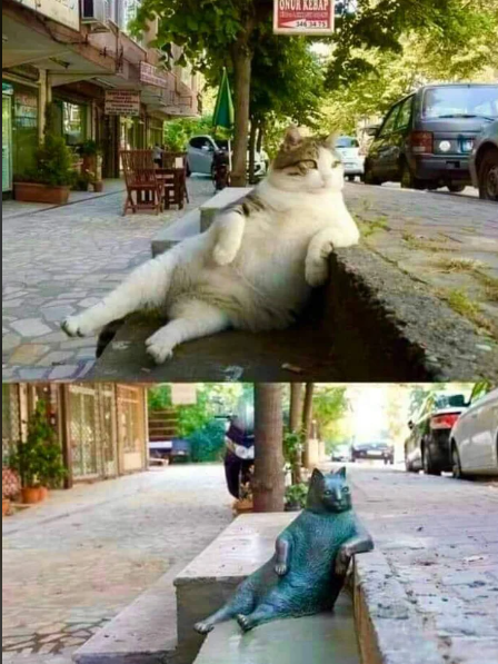 r/BeAmazed - A statue in Istanbul to honor Tombili, a famous stray cat. He used to sit in this position and watch passers-by.
