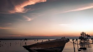 The photo was taken in front of the port city of Bentan Telani, Riau Islands in 7 May 2020.