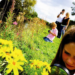 The UK's canals and rivers are full of wildlife