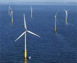 Wind farm survey results