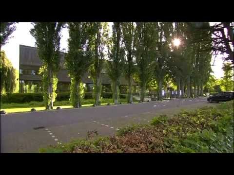 Thumbnail: The River and Rowing Museum, River Thames