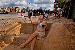 Thames Beach Activity by Barry Lowe