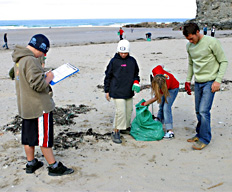 Beach Clean