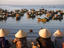 Fishing boats, Vietnam