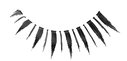 Japonesque  Length Eyelashes