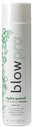 Blow Pro  Hydra Quench Daily Hydrating Shampoo