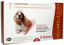 Revolution  Canine (Red) - 20.1-40 lbs