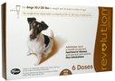 Revolution  Canine (Brown) - 10.1-20 lbs