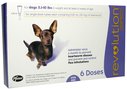 Revolution  Canine (Purple) - 5.1-10 lbs