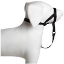 The Company Of Animals  Halti Head Collar