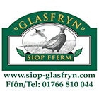 Glasfryn