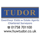 Tudor-Estage-Agents