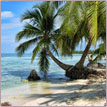 Click here to take advantage of our Caribbean Vacation Offers.