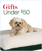 Gifts Under $50