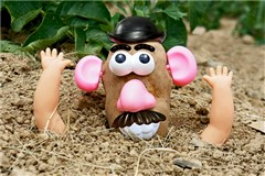 Mr Potato Head