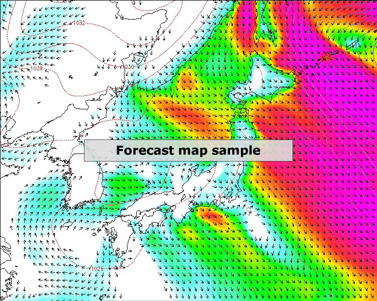 forecast map