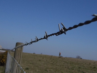 barb wire