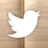 Twitter Books