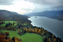 Hometown Camas, Washington / Camas, Washington is a small city located in Southwest Washington on the banks of the mighty Columbia River / by Kathy Alexander