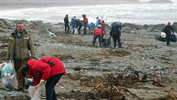 Latest news image - MCS disappointed over challenges to Beachwatch figures in Wales  