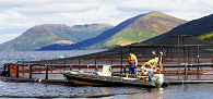 Aquaculture site Loch Striven