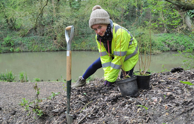 Join a towpath taskforce