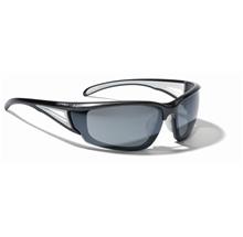 Alpina Azid Sunglasses