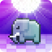 Disco Zoo