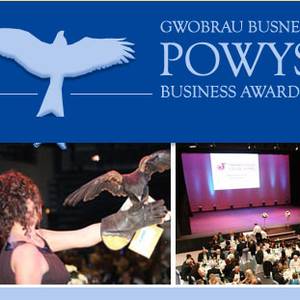 2014 Powys Business Awards