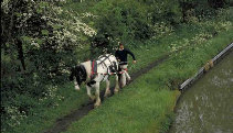 Horseboating on the Ashby Canal