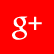 Google+ icon