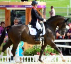 Image of Equestrian