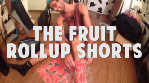 THE FRUIT ROLLUP SHORTS