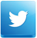 footer-twitter-icon