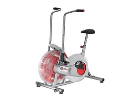 Schwinn Airdyne Upright Stationary Bike