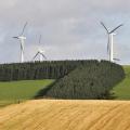 Windfarm and conifer plantation, Glens of Foundland near Huntly.  Lorne Gill/SNH. For information on reproduction rights contact the Scottish Natural Heritage Image Library on Tel. 01738 458541 or www.snh.gov.uk/copyright