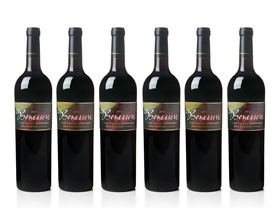 Benessere Napa Valley Zin Vertical (6)